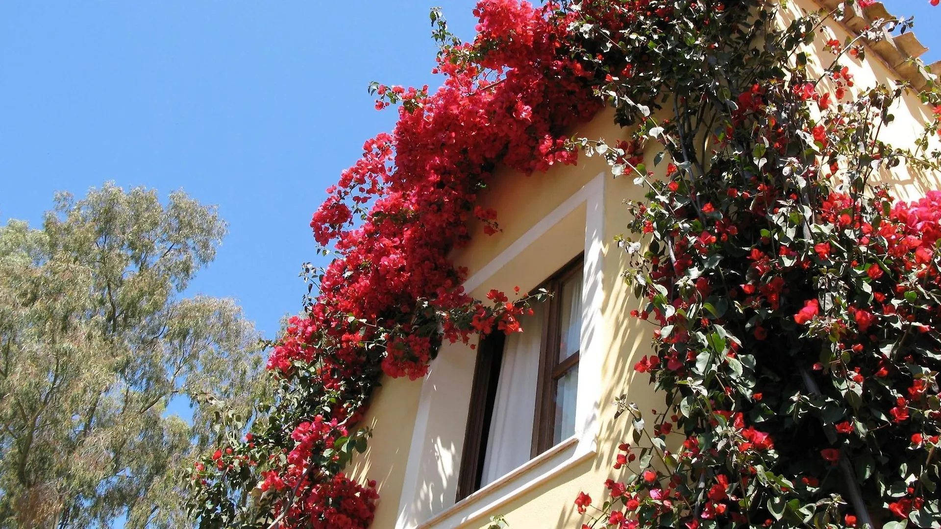 Borgo Degli Ulivi Aparthotel Arbatax